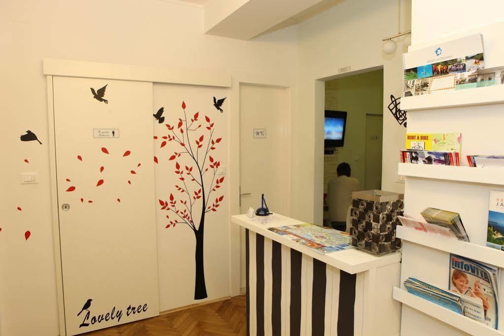 Tchaikovsky Hostel سبليت المظهر الخارجي الصورة