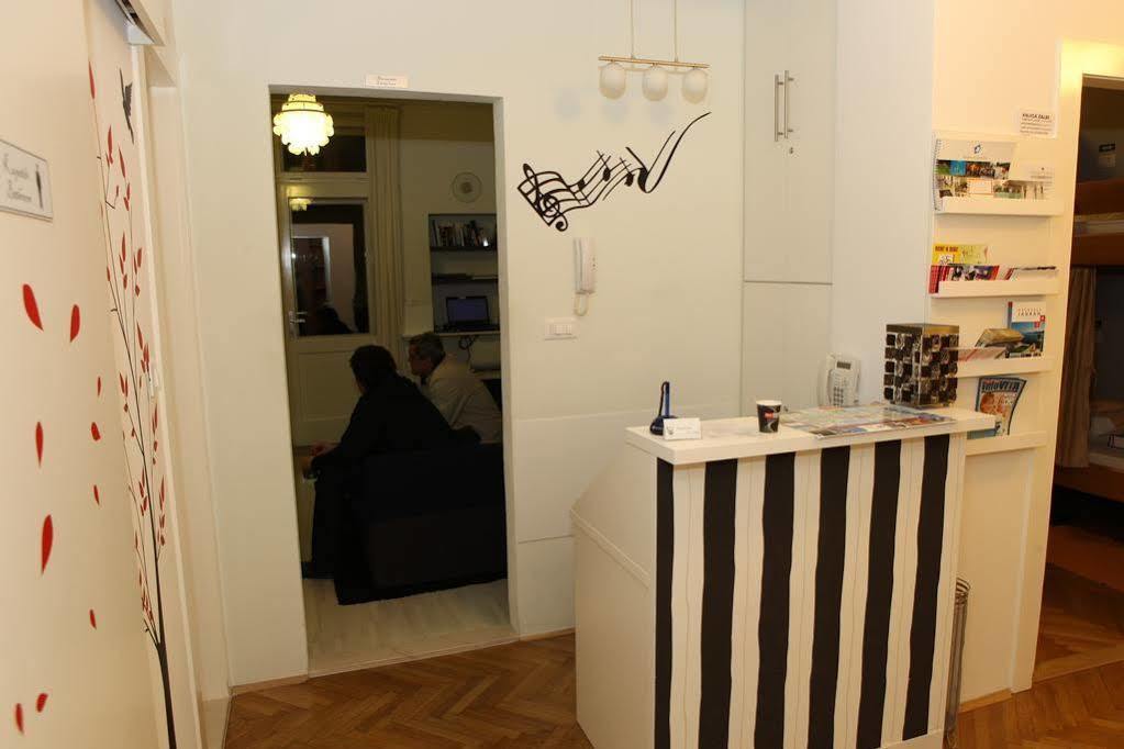 Tchaikovsky Hostel سبليت المظهر الخارجي الصورة